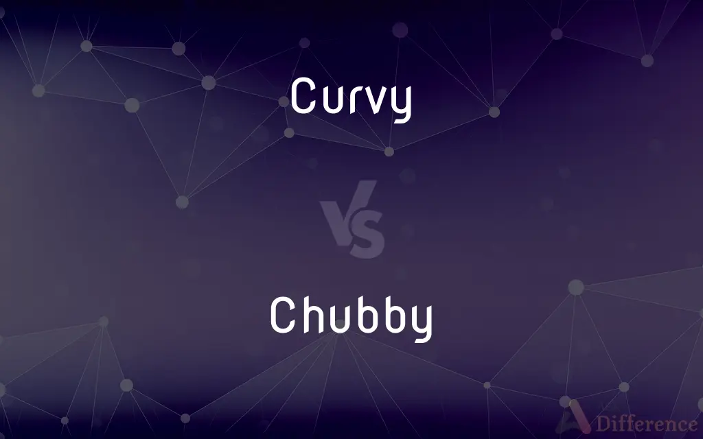Curvy vs. Chubby — What's the Difference?