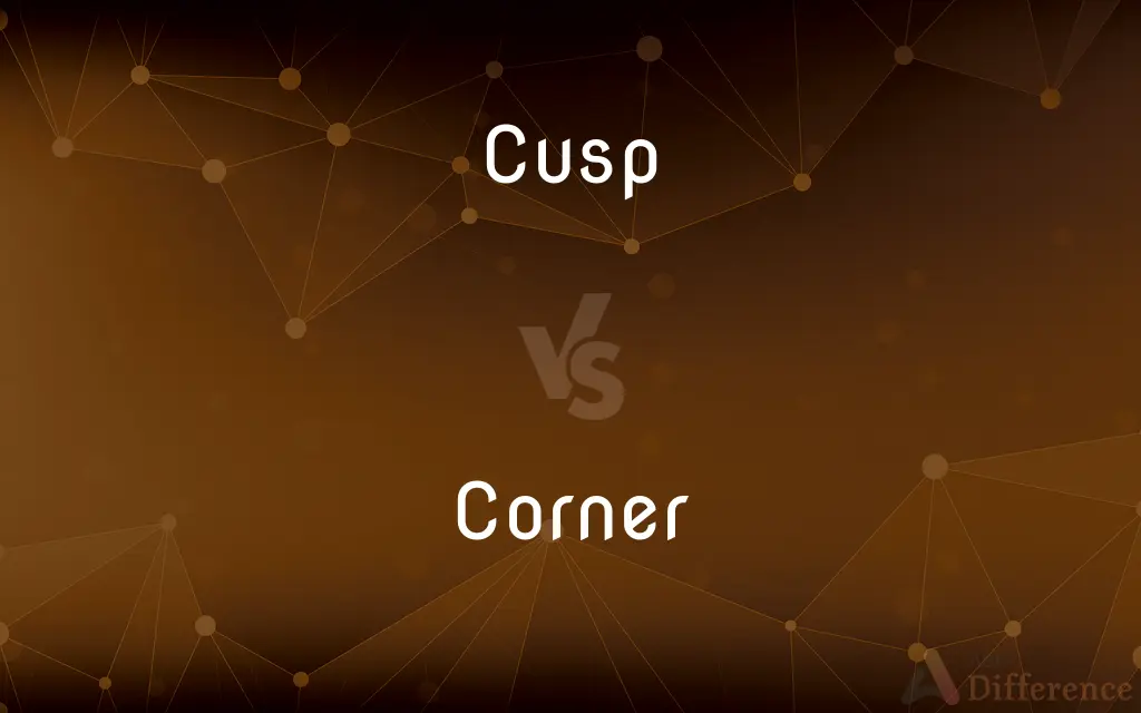 Cusp vs. Corner — What's the Difference?