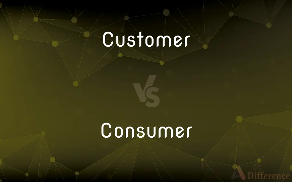 Customer vs. Consumer — What's the Difference?
