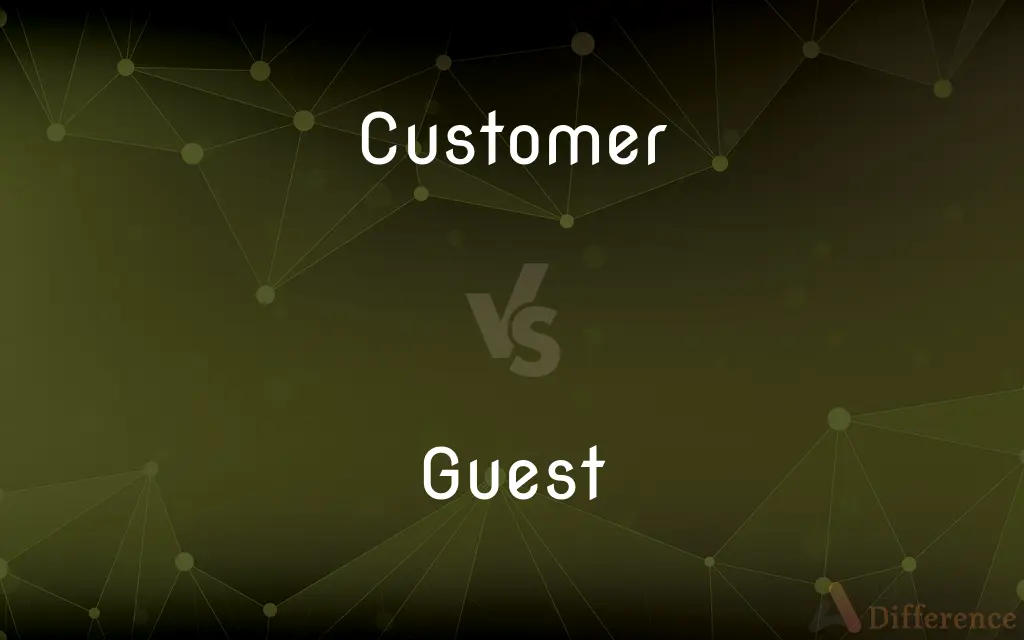 Customer vs. Guest — What's the Difference?