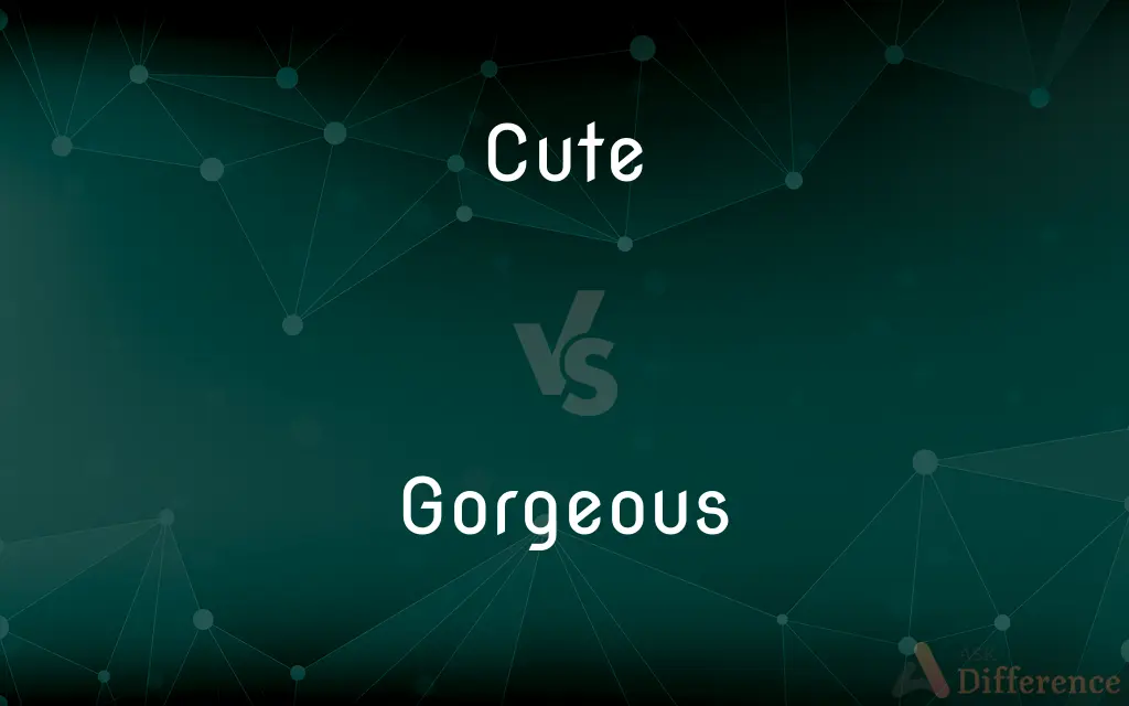 Cute vs. Gorgeous — What's the Difference?