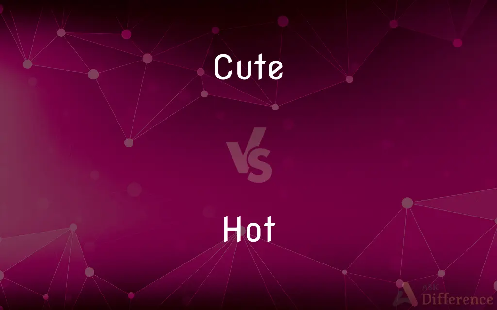 Cute vs. Hot — What's the Difference?