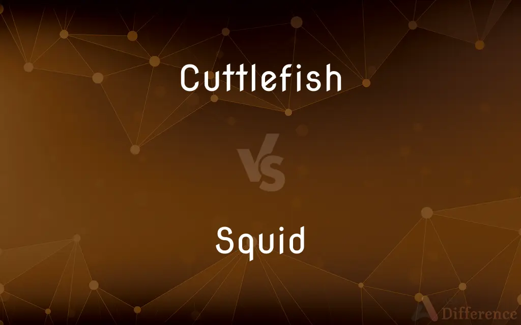 Cuttlefish vs. Squid — What's the Difference?