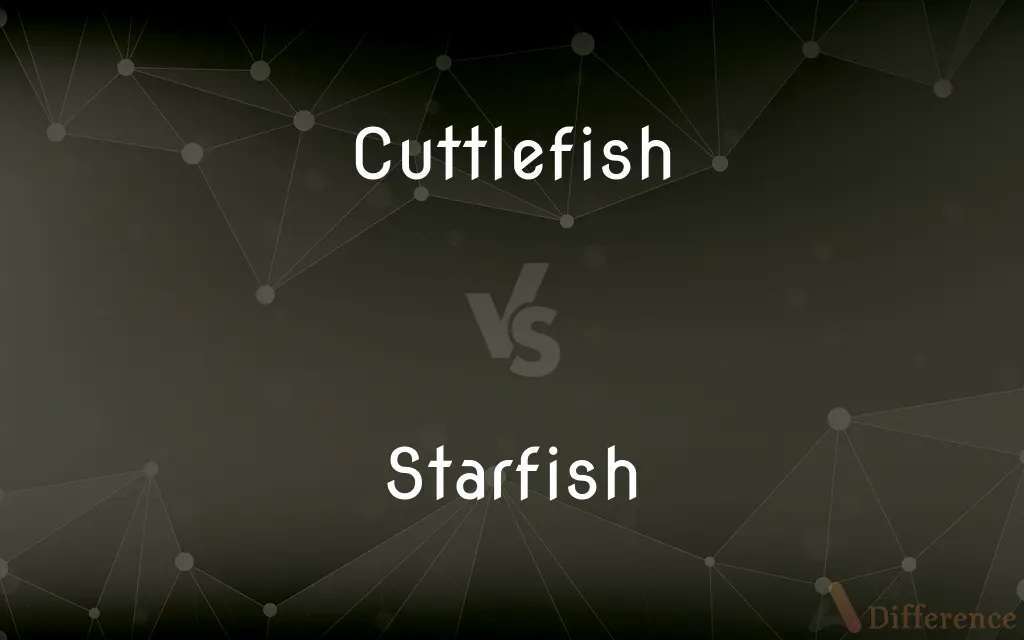 Cuttlefish vs. Starfish — What's the Difference?