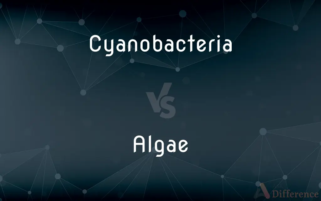 Cyanobacteria vs. Algae — What's the Difference?