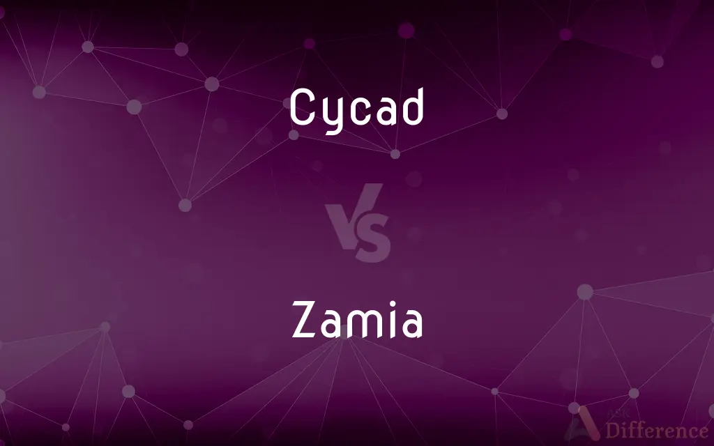 Cycad vs. Zamia — What's the Difference?