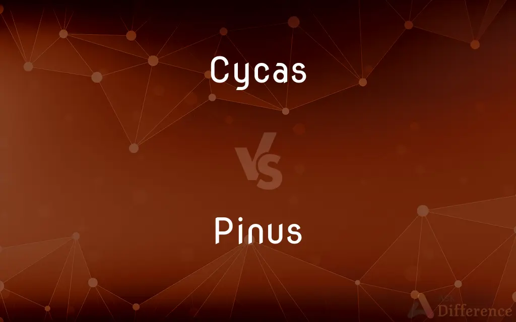 Cycas vs. Pinus — What's the Difference?