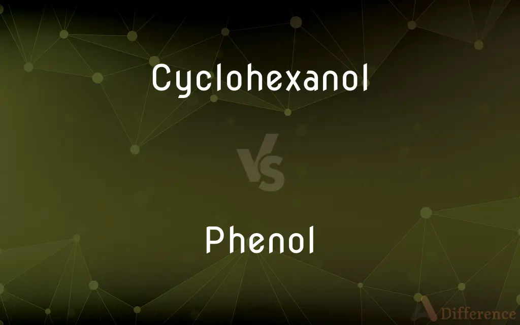 Cyclohexanol vs. Phenol — What's the Difference?