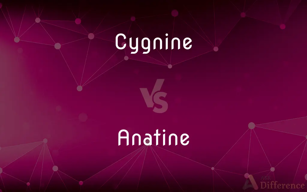 Cygnine vs. Anatine — What's the Difference?