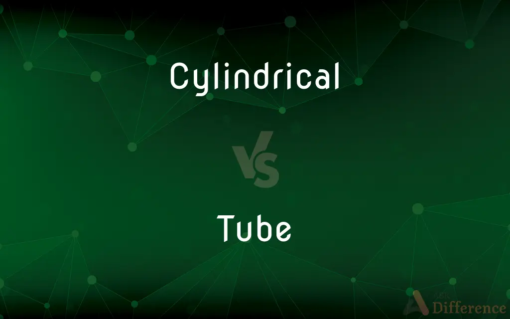 Cylindrical vs. Tube — What's the Difference?