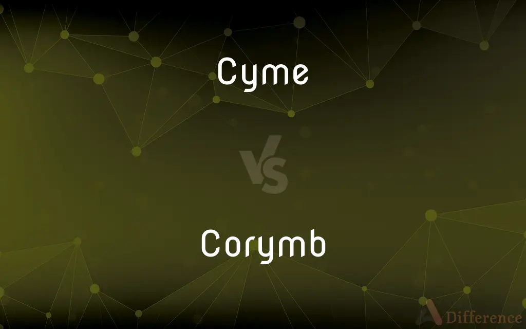 Cyme vs. Corymb — What's the Difference?