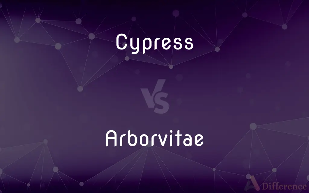 Cypress vs. Arborvitae — What's the Difference?