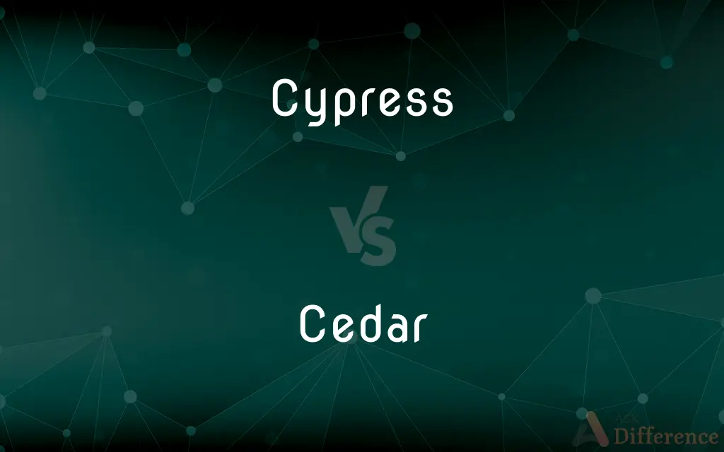 Cypress vs. Cedar — What's the Difference?