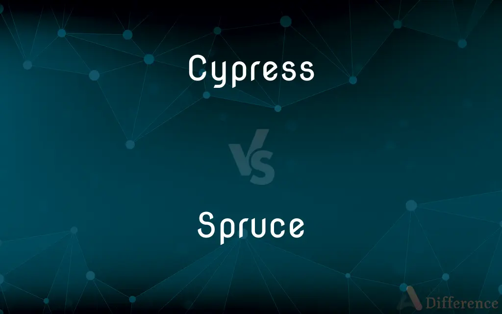 Cypress vs. Spruce — What's the Difference?