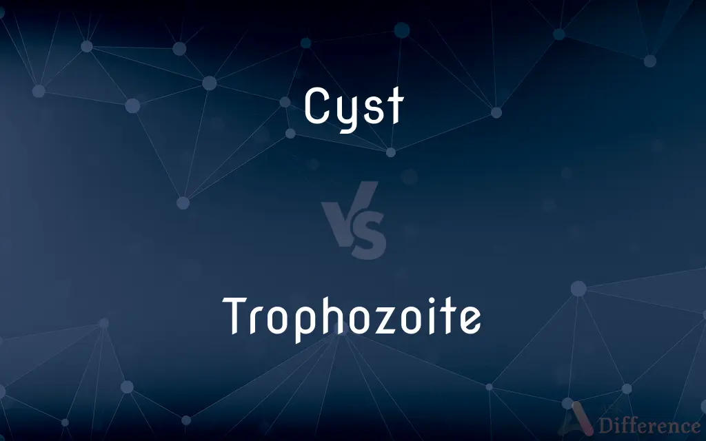 Cyst vs. Trophozoite — What's the Difference?