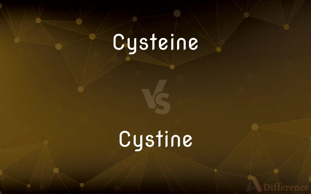 Cysteine vs. Cystine — What's the Difference?