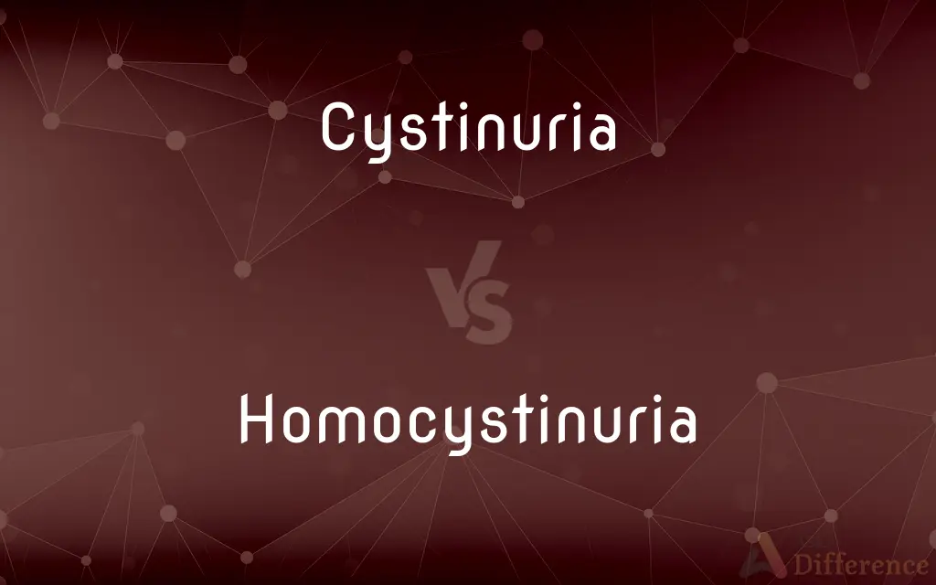 Cystinuria vs. Homocystinuria — What's the Difference?