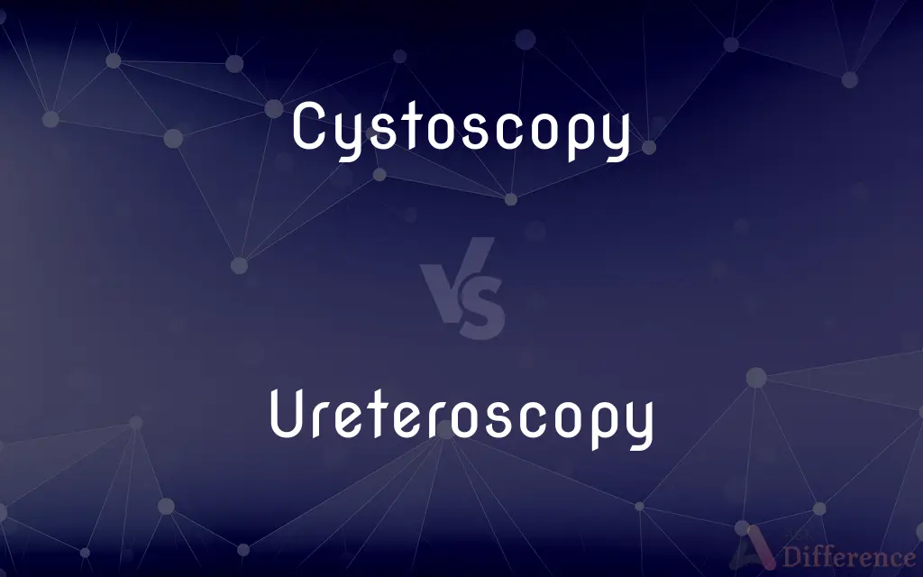 Cystoscopy vs. Ureteroscopy — What's the Difference?