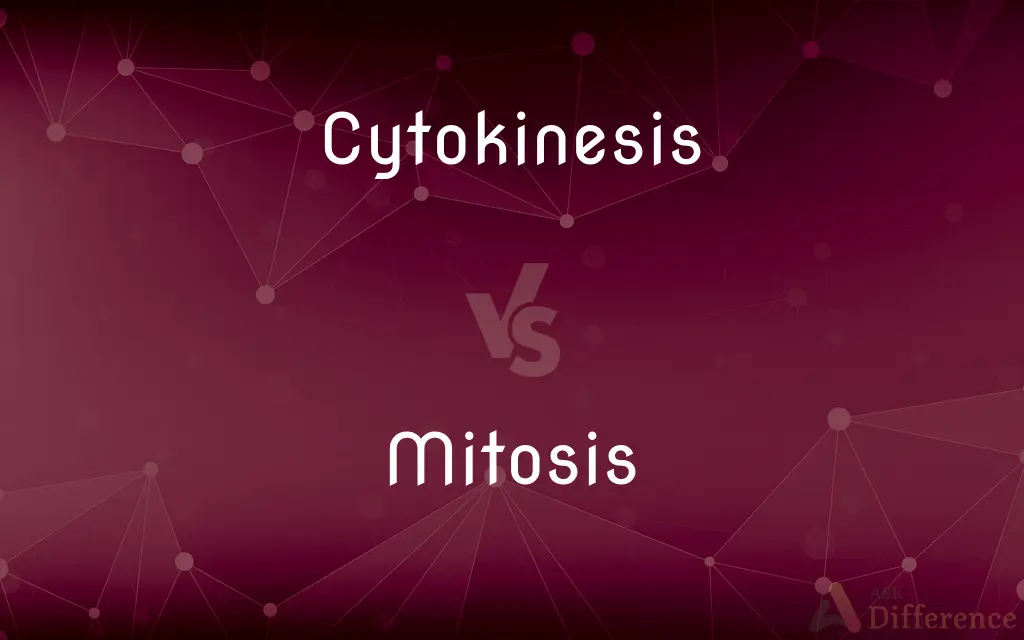 Cytokinesis vs. Mitosis — What's the Difference?