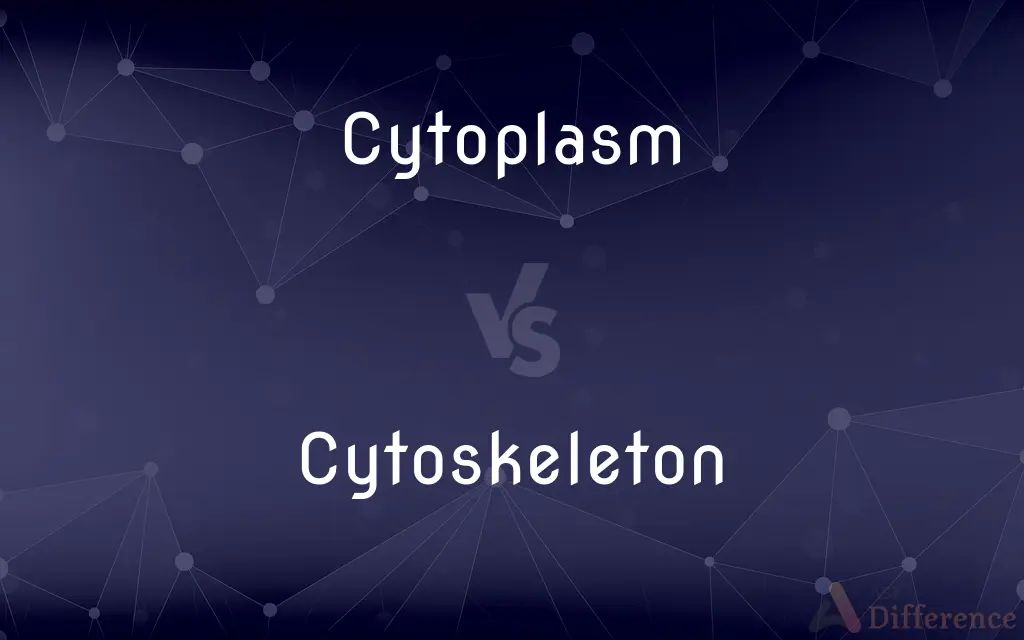 Cytoplasm vs. Cytoskeleton — What's the Difference?