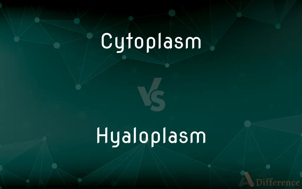 Cytoplasm vs. Hyaloplasm — What's the Difference?