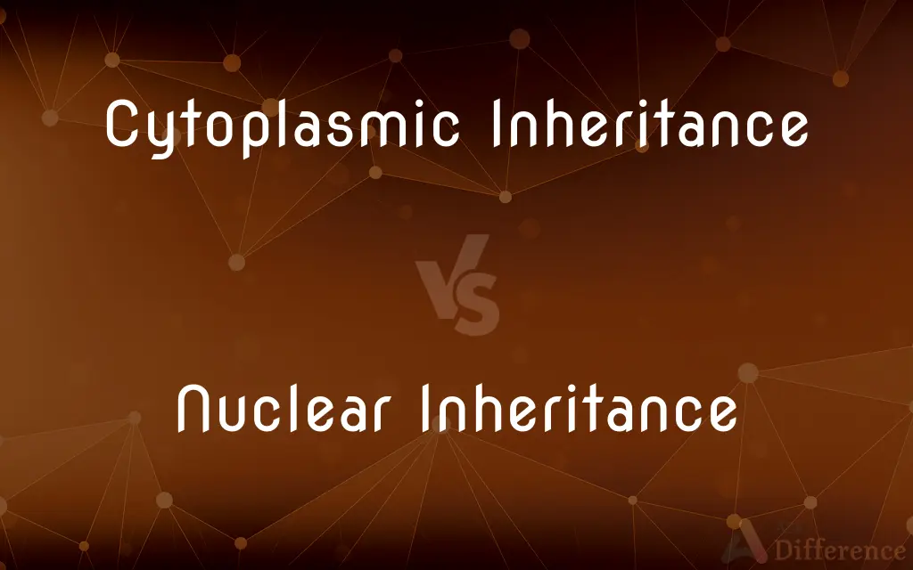 Cytoplasmic Inheritance vs. Nuclear Inheritance — What's the Difference?