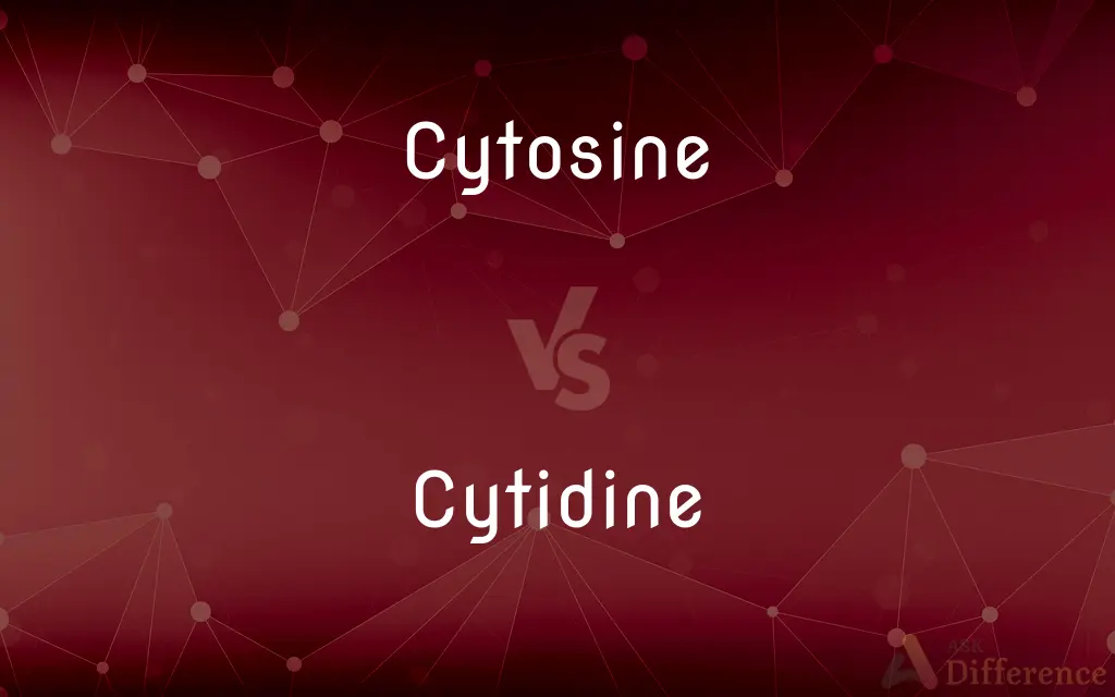 Cytosine vs. Cytidine — What's the Difference?