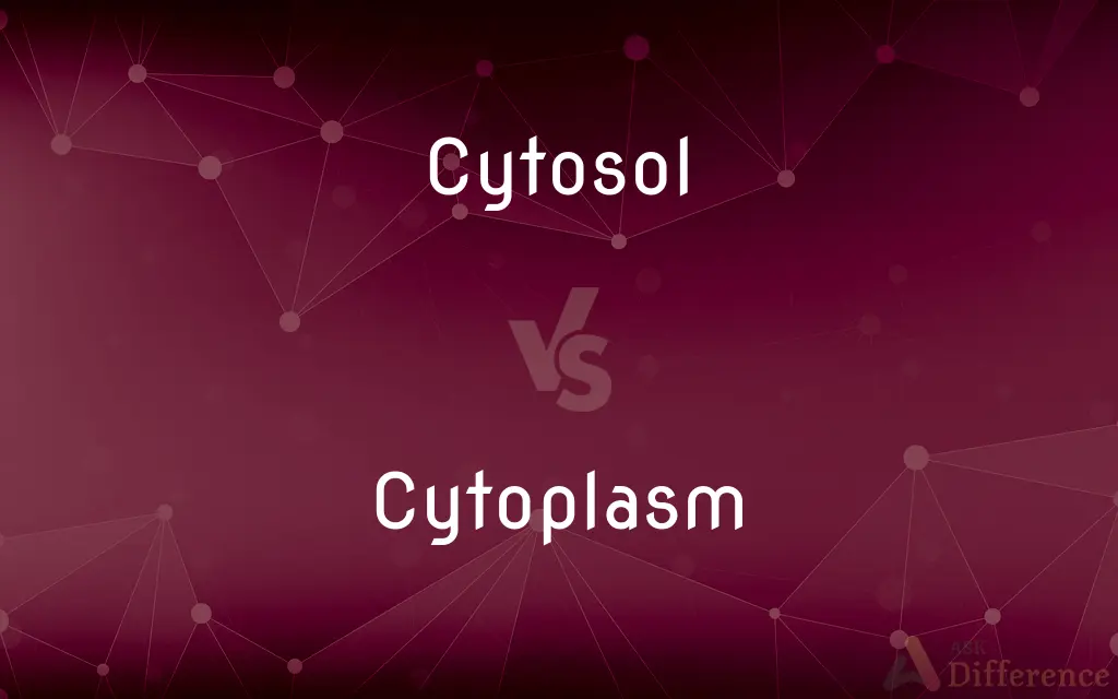 Cytosol vs. Cytoplasm — What's the Difference?