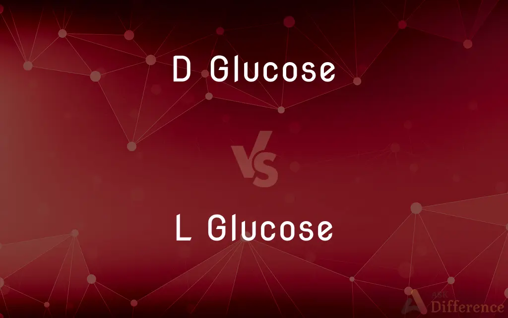 D Glucose vs. L Glucose — What's the Difference?