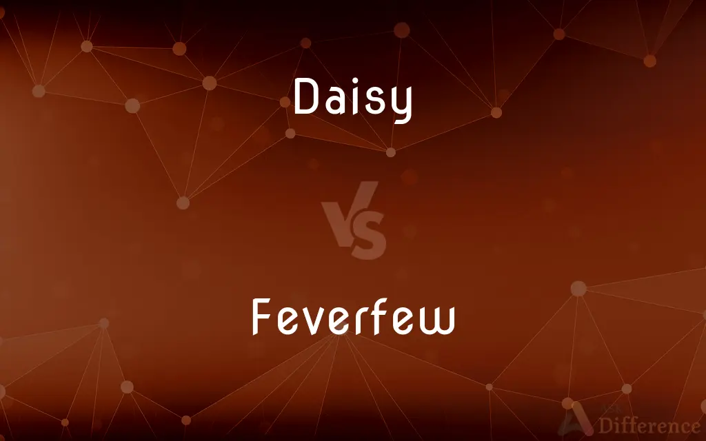 Daisy vs. Feverfew — What's the Difference?
