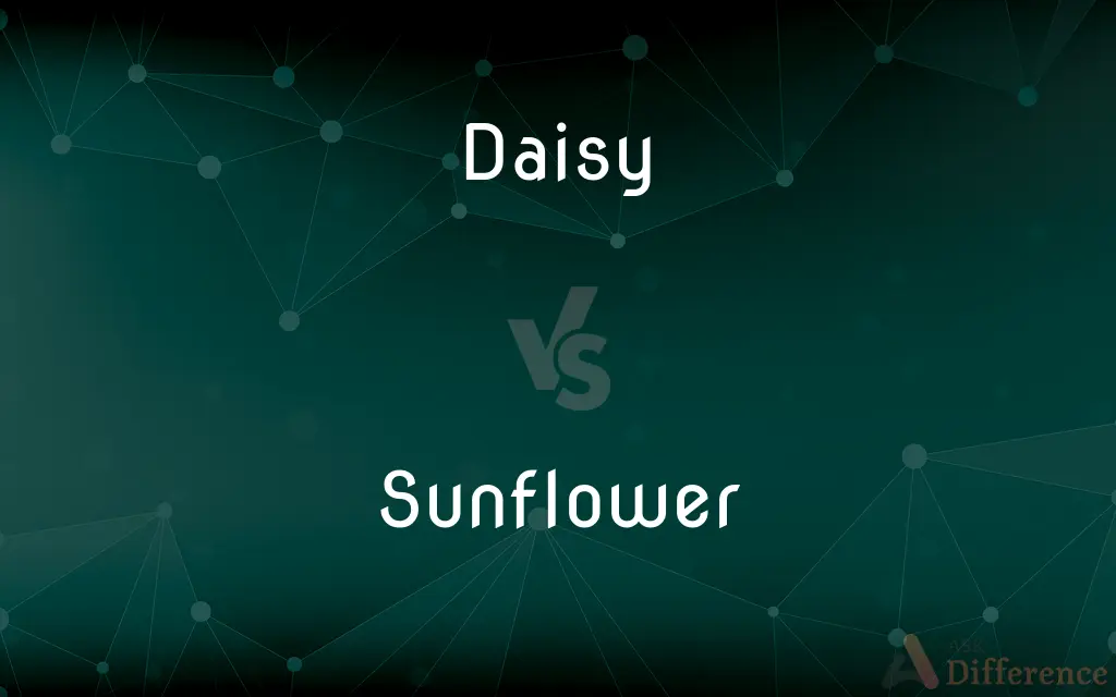 Daisy vs. Sunflower — What's the Difference?