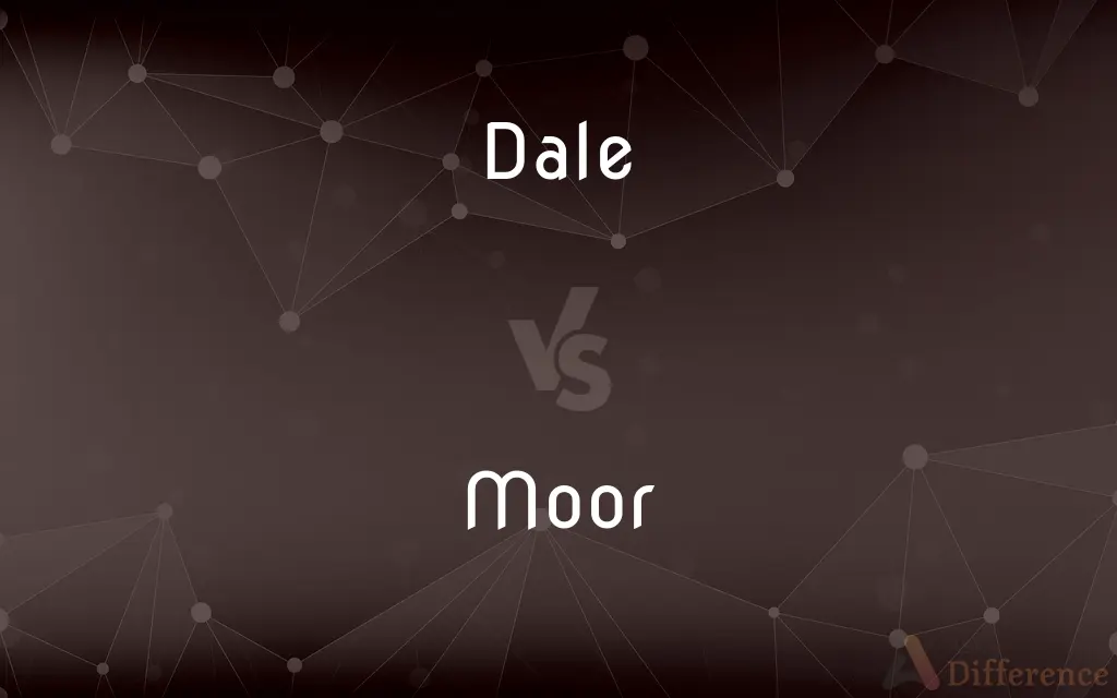 Dale vs. Moor — What's the Difference?