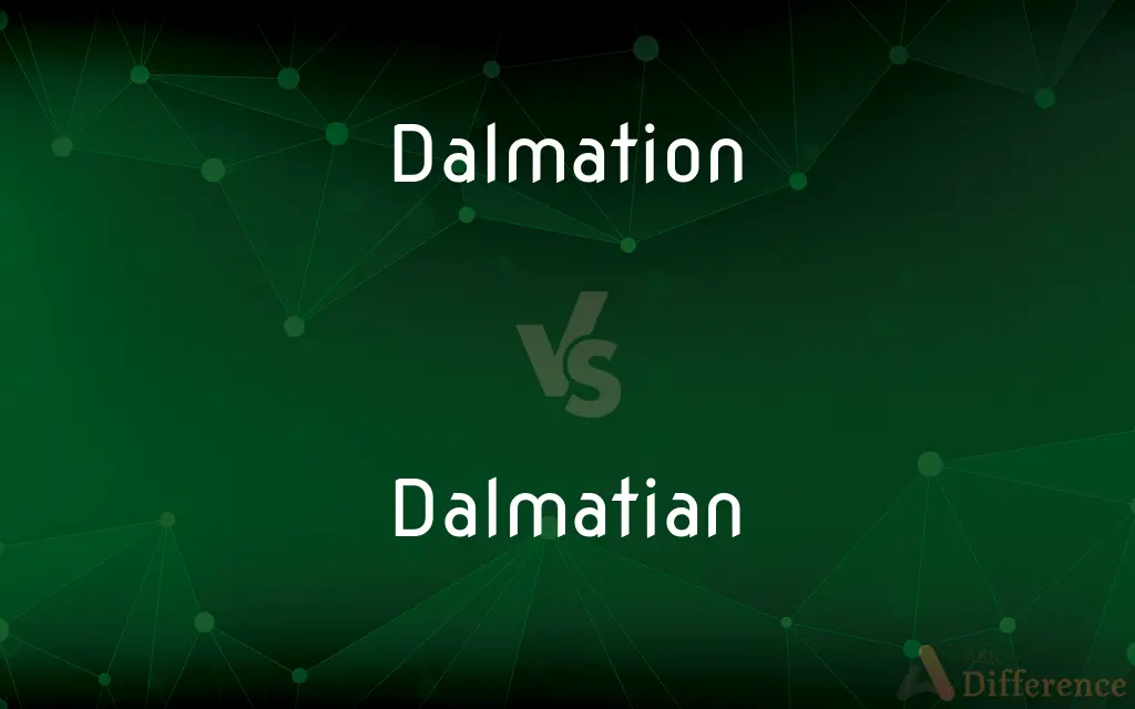 Dalmation vs. Dalmatian — Which is Correct Spelling?