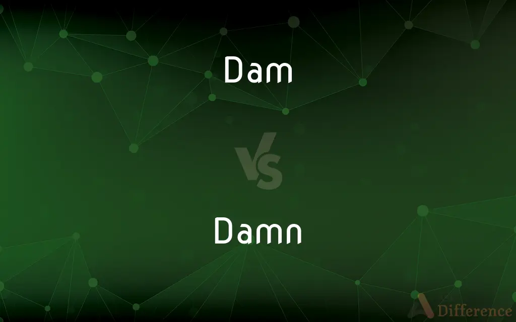 Dam vs. Damn — What's the Difference?