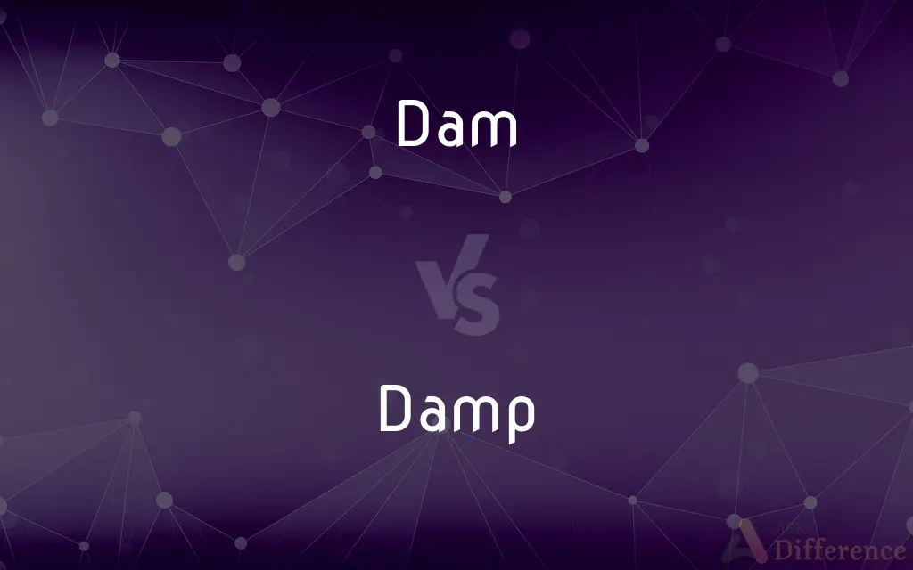 Dam vs. Damp — What's the Difference?