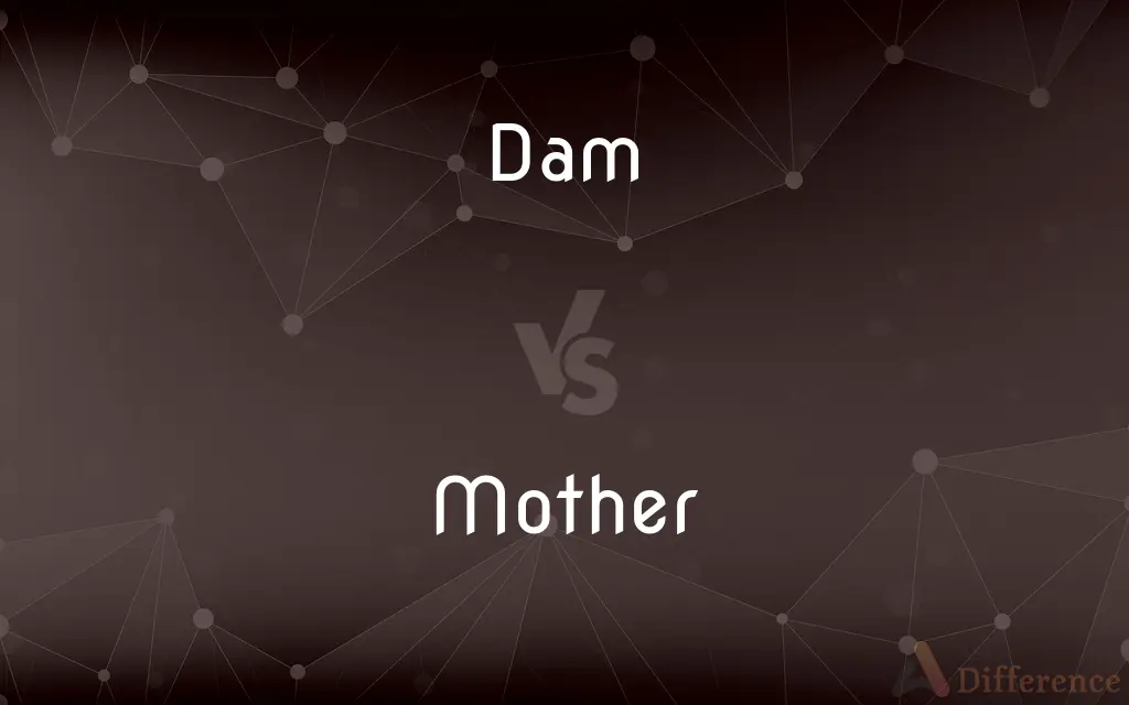 Dam vs. Mother — What's the Difference?