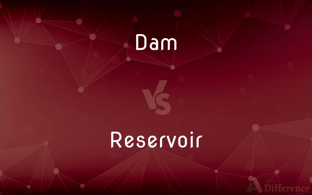 Dam vs. Reservoir — What's the Difference?