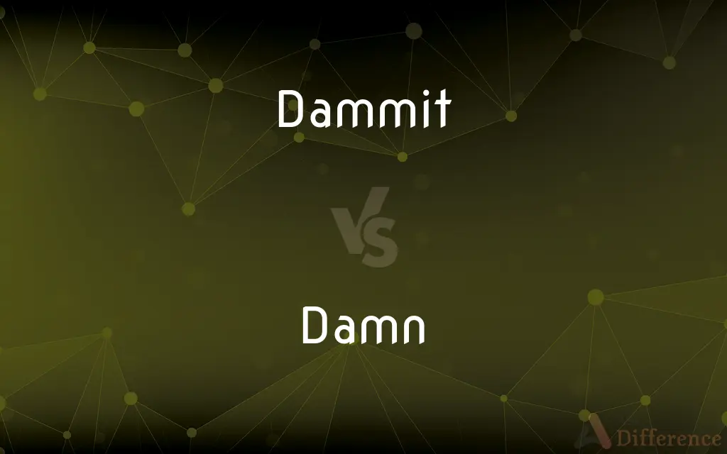 Dammit vs. Damn — What's the Difference?