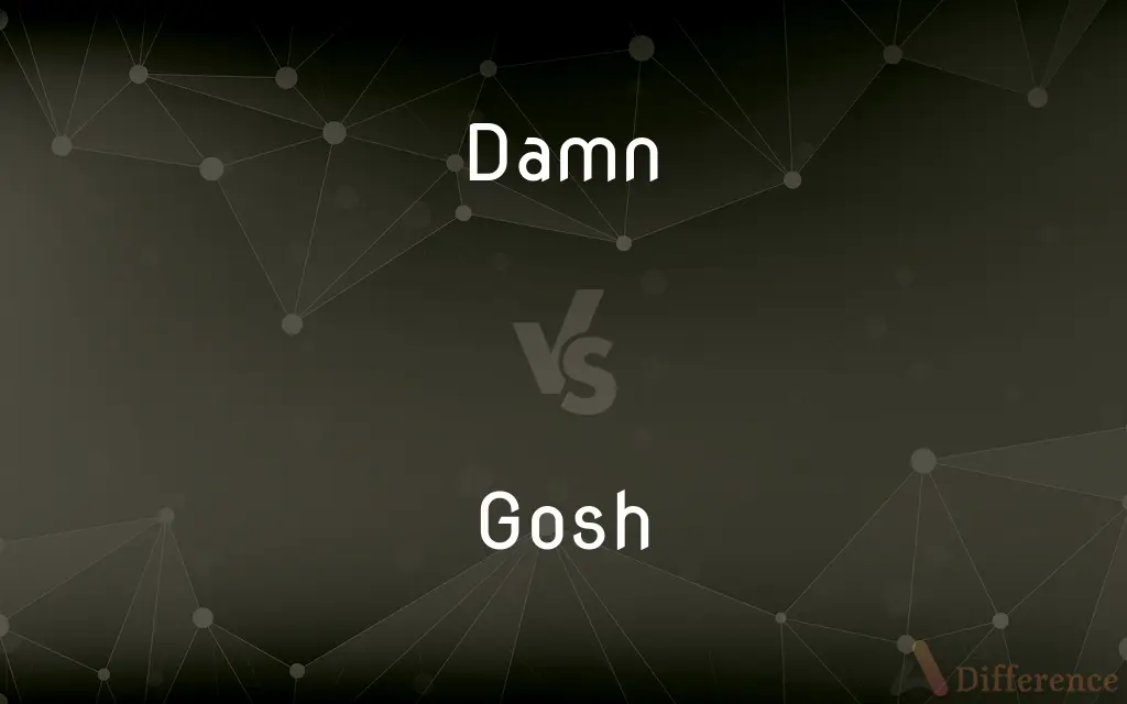 Damn vs. Gosh — What's the Difference?