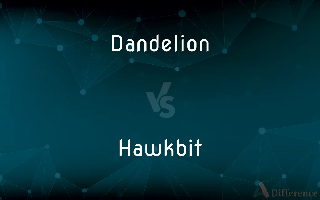 Dandelion vs. Hawkbit — What's the Difference?