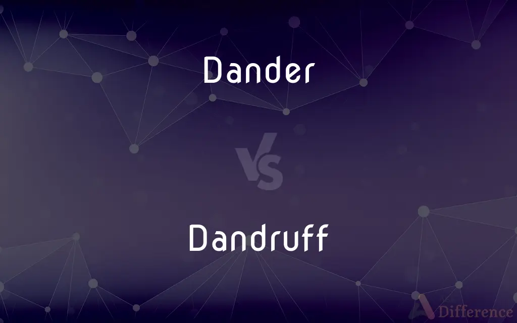 Dander vs. Dandruff — What's the Difference?