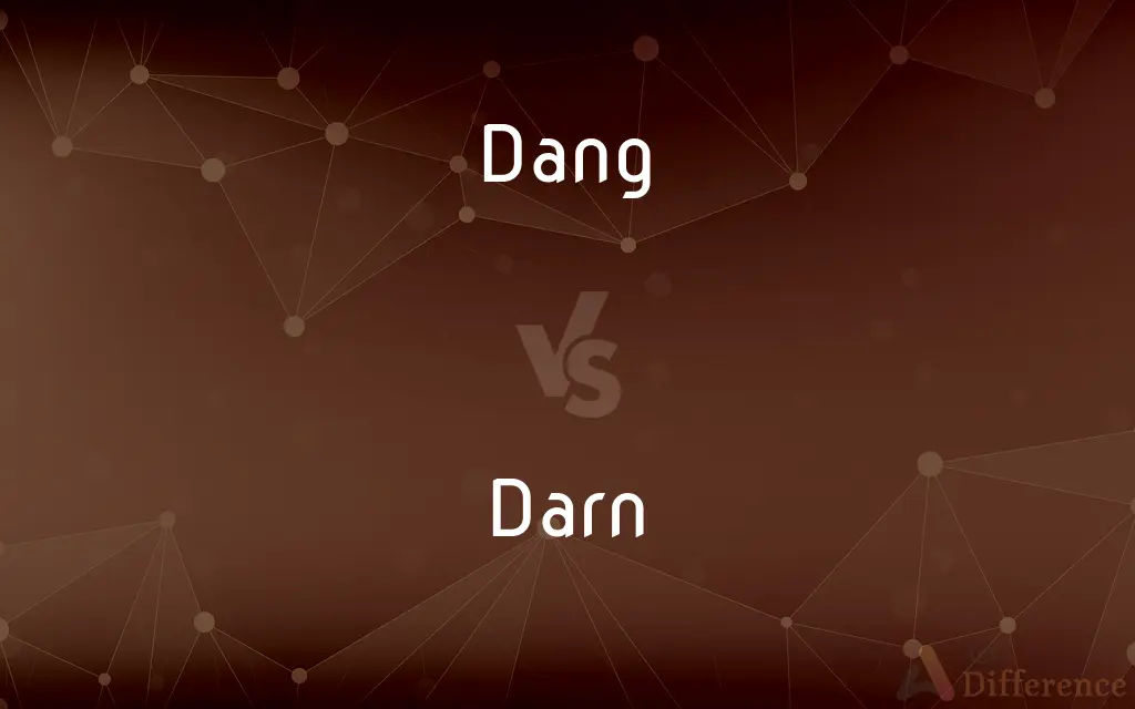 Dang vs. Darn — What's the Difference?