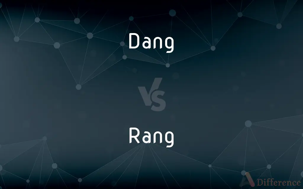 Dang vs. Rang — What's the Difference?