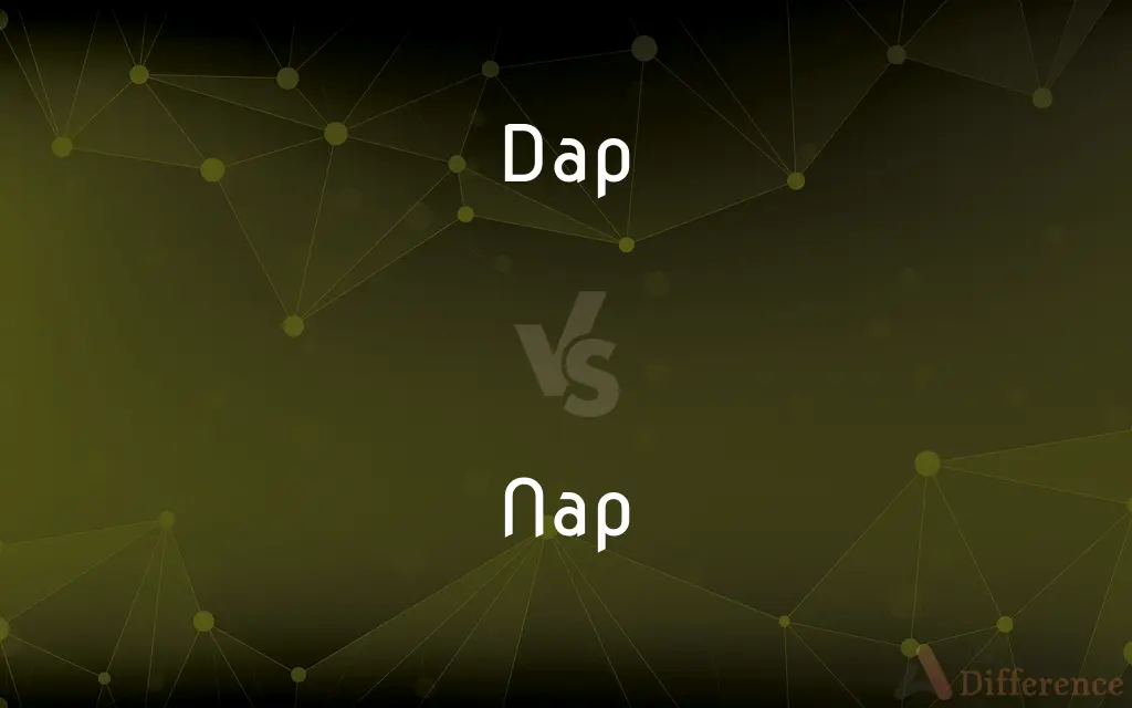 Dap vs. Nap — What's the Difference?