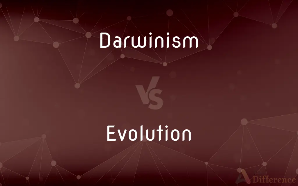 Darwinism vs. Evolution — What's the Difference?