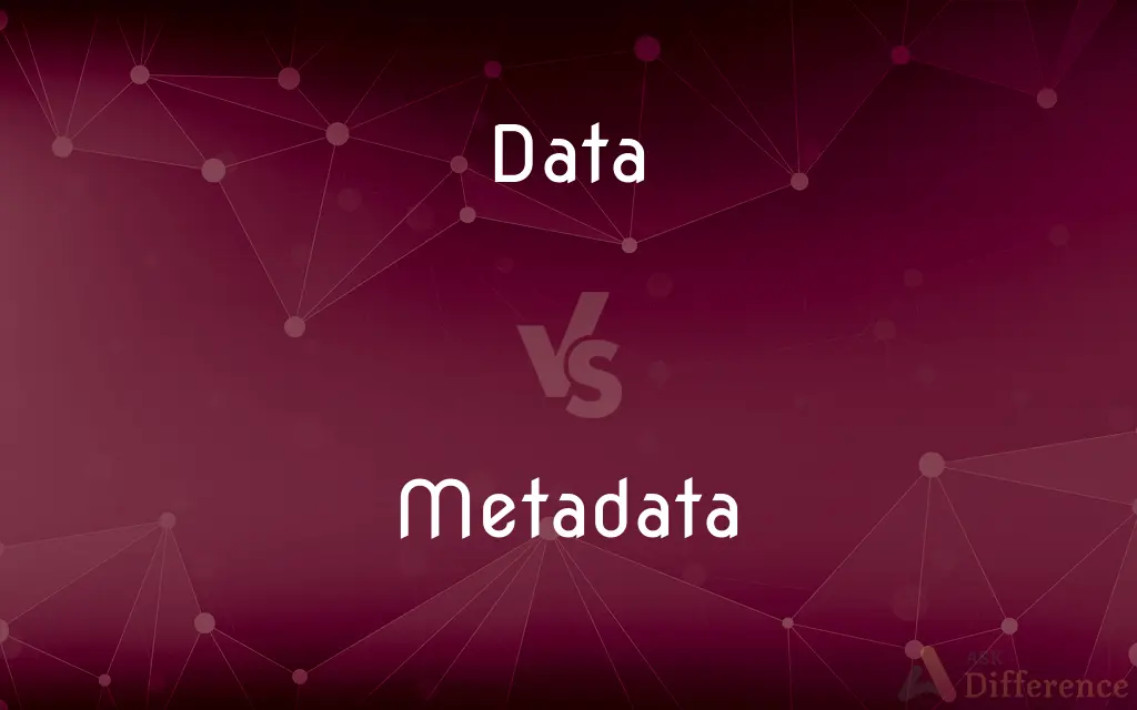 Data vs. Metadata — What's the Difference?