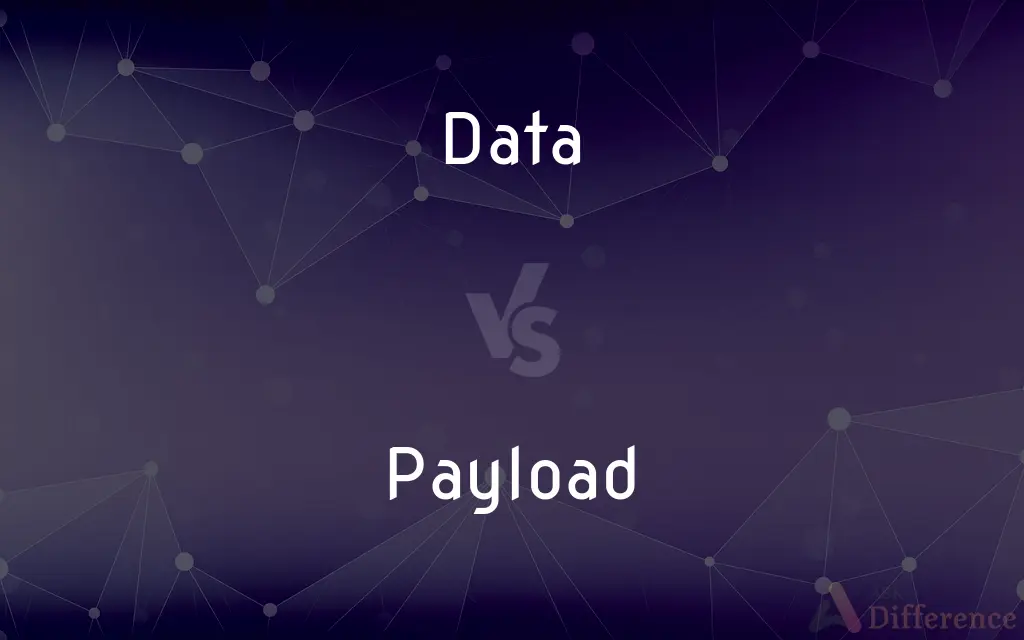 Data vs. Payload — What's the Difference?