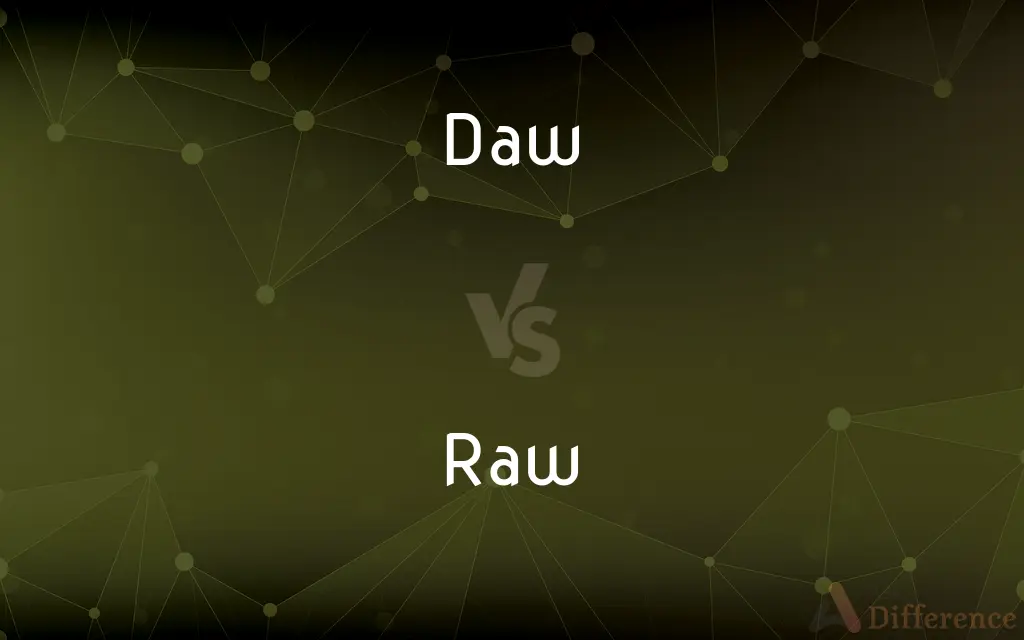 Daw vs. Raw — What's the Difference?