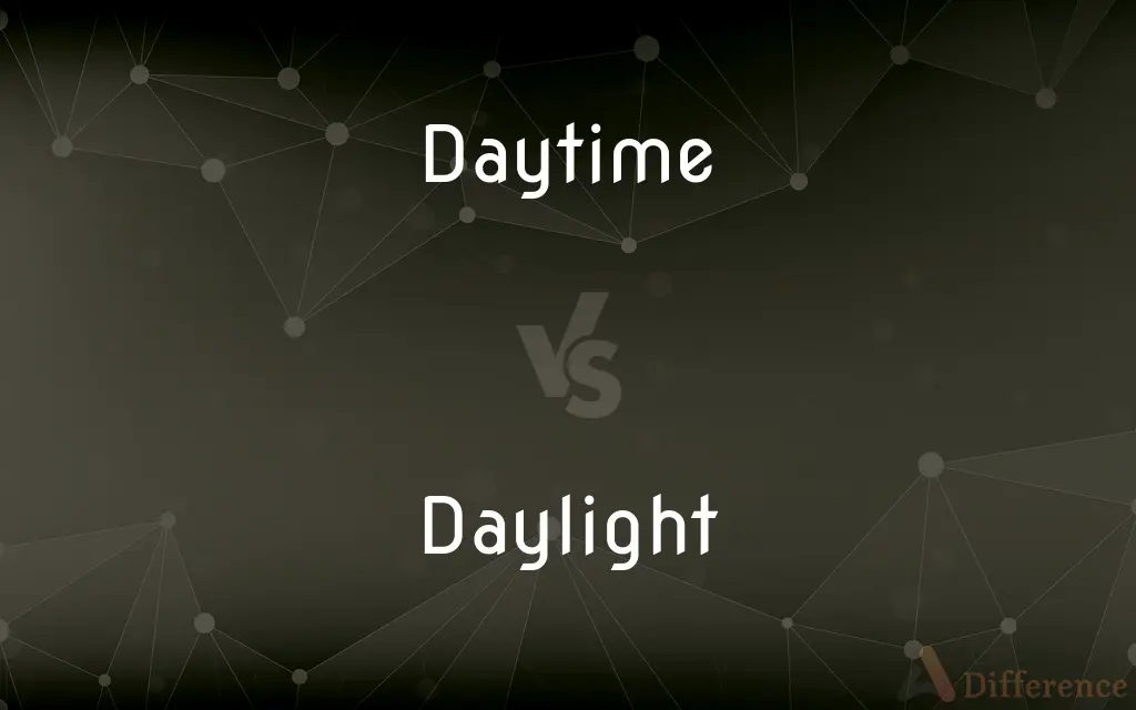 Daytime vs. Daylight — What's the Difference?