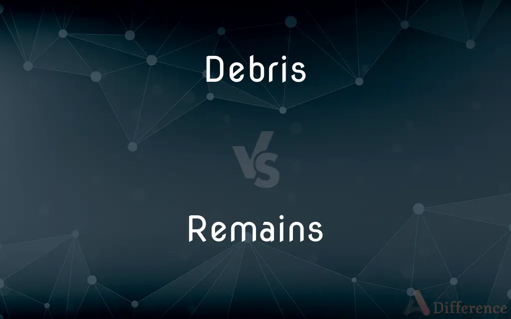 Debris vs. Remains — What's the Difference?